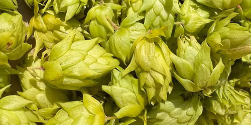 November Werksverkauf mit Gr\u00fcnhopfen Wiess