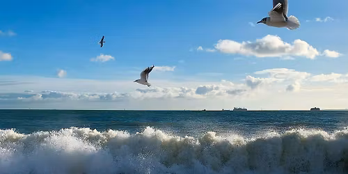 Beyond Borders Cafe: Connected Spirits in Many Worlds