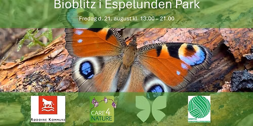 Bioblitz i Espelund Park