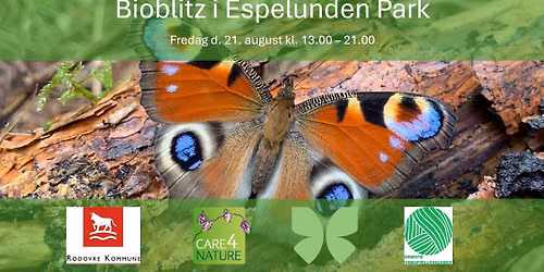 Bioblitz i Espelund Park