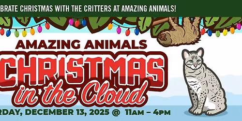 Christmas in the Cloud 