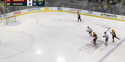 Minnesota Golden Gophers vs. Michigan Wolverines