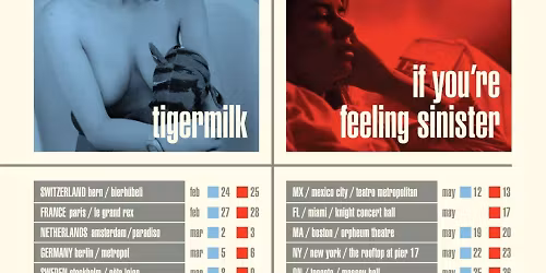 Belle and Sebastian - 2 Day Pass