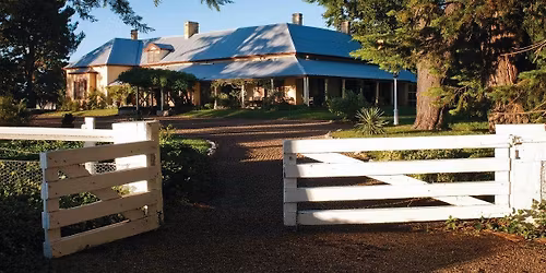 Opera in the drawing room