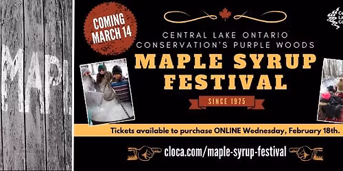 Purple Woods Maple Syrup Festival