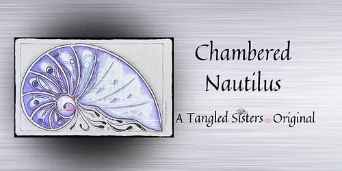Chambered Nautilus