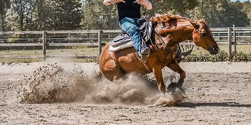 4 Tages Lars Nebel Kurs