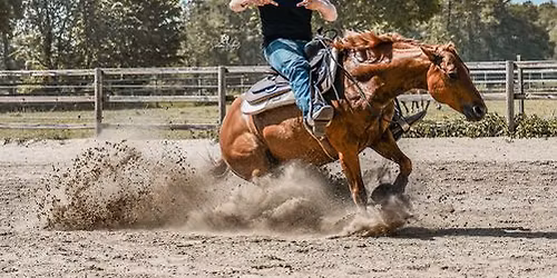 4 Tages Lars Nebel Kurs