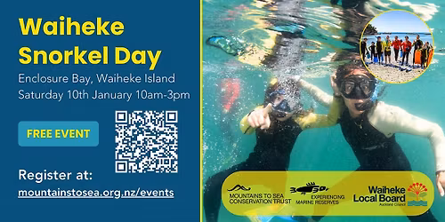 Waiheke Snorkel Day