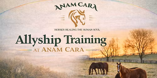 Allyship Training at Anam Cara