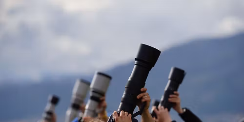 I Shoot it, You Shoot it