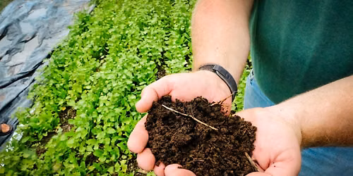 Living Soils Field Day 2026