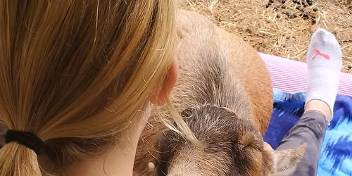 Farm and Nature Explorers (for Kids or Families)