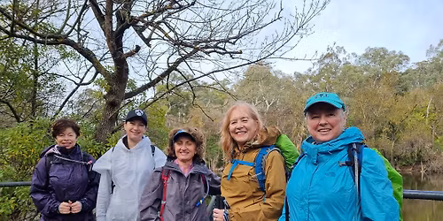 Belair Lorikeet \/ Microcarpa Hike