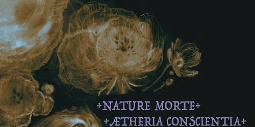 METAL\u2694\ufe0fNature Morte (Indie\/Metal) + \u00c0 TERRE (HxC\/Metal) + Aetheria Conscientia (Black\/Experimental)