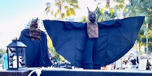 Cairns Bat Festival 2026