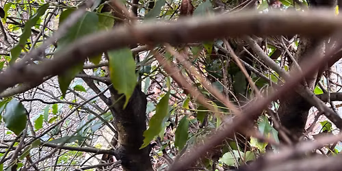 The TDL Extravaganza (Thinky - Drinky - Linky)