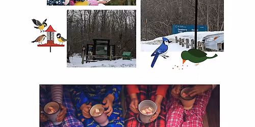 Nature Walk and Bird Feeding \/ Nourrir les oiseaux et promenade en nature