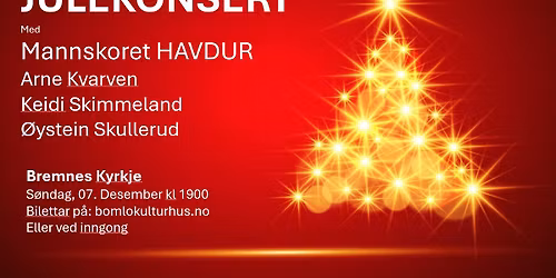 Julekonsert med Mannskoret HAVDUR og lokale gjester.