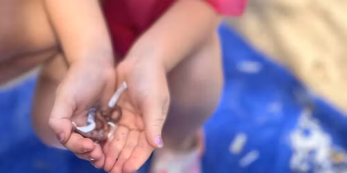 Science with Sam: Build a Worm Bin (6 to 12 year olds)