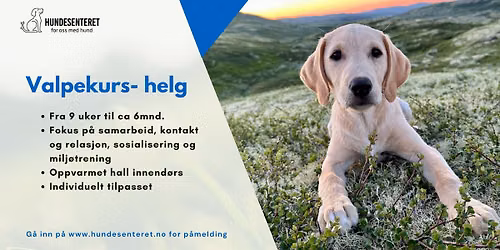 Valpekurs- helg (2 ledige plasser)