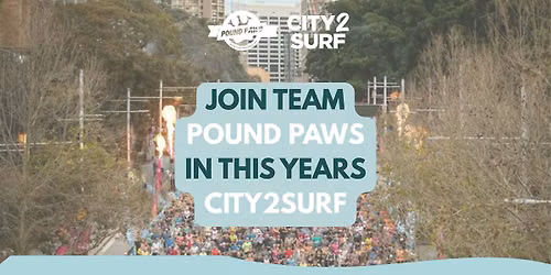 Pound Paws Rescue Squad \u2013 City2Surf 2026