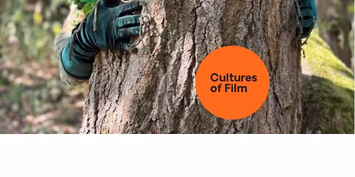 Art on Your Doorstep: Frog in The Park