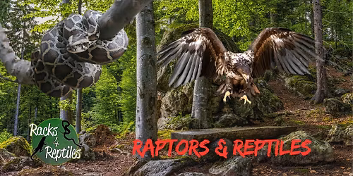 Raptors & Reptiles