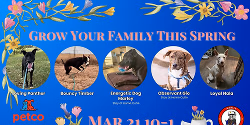 Grow Your Family This Spring