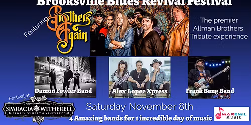 Damon Fowler - The 2nd annual Brooksville Blues Revival Festival, Brooksville, FL