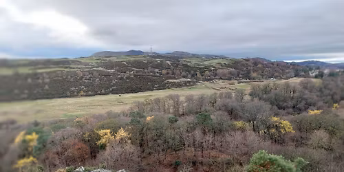 Mortonhall and the Braids