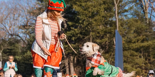 Golden Paw-liday Party