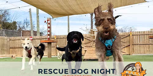 Rescue Dog Night to Benefit H.A.L.T