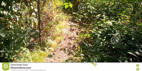 Church Wood Conservation Group
