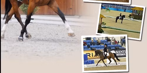 \ud83c\udf1f Train with Eleonore Elstone -Support the May CPEDI \ud83c\udf1f