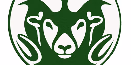 Rio Rancho HS Band 8th Annual Mattress Fundraiser