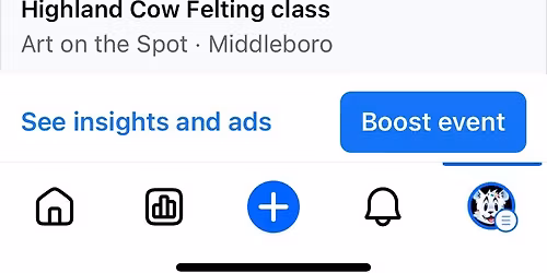 Highland Cow Felting class