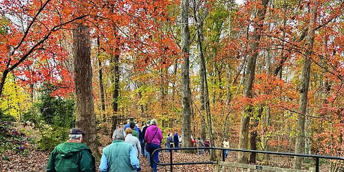 Nature Ramblers