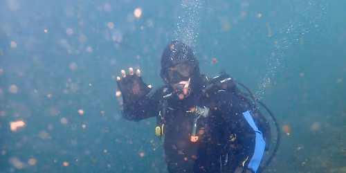 FDD Fun Dive- June 2026