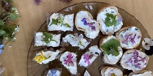 Za bylinkami do zahrady: Pleveln\u00e9 bylinky na tal\u00ed\u0159i