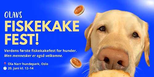 OLAVS FISKEKAKEFEST!