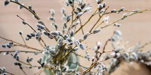 Spring Equinox Foraged Wreath Workshop