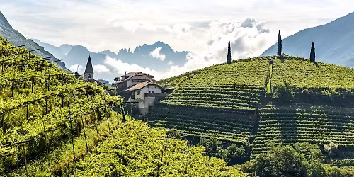 Atlas of Wine: Venice to the Alps