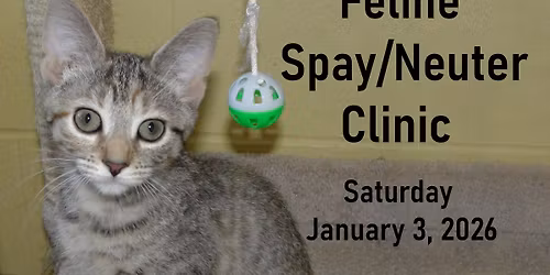 Feline Spay\/Neuter Clinic 01\/03\/26
