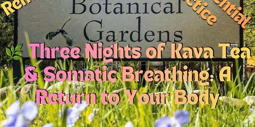 \ud83c\udf3f Three Nights of Kava Tea & Somatic Breathing: A Return to Your Body
