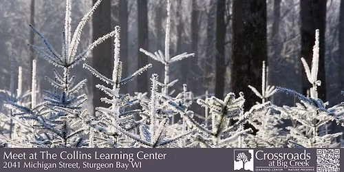 Lecture: Door County Conifers and the History of Christmas Trees