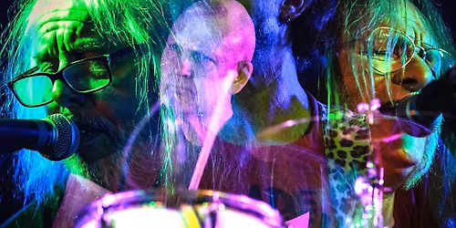 THE BEVIS FROND | LOGO Hamburg