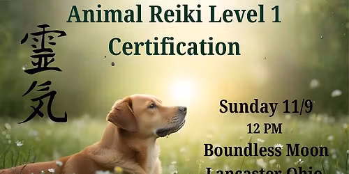 Animal Reiki Level 1 Training