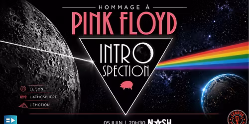 INTROSPECTION \u2013 PINK FLOYD SHOW - Nash