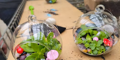 Tiny Gardens Workshop